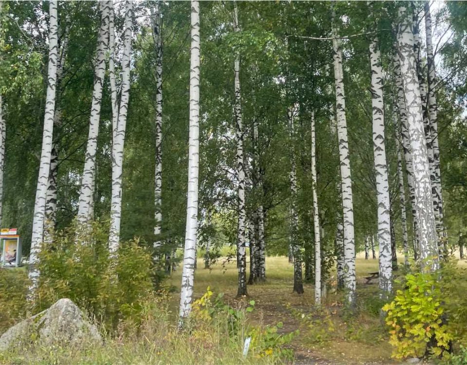 Жизнь всегда начинается