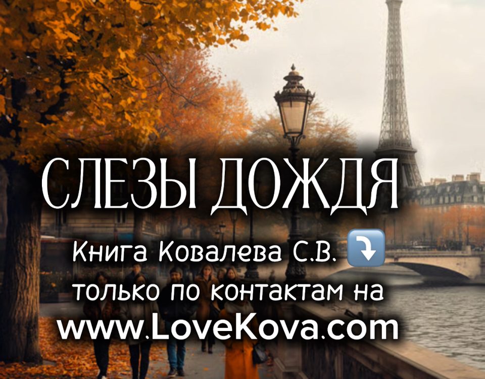 книга слезы дождя