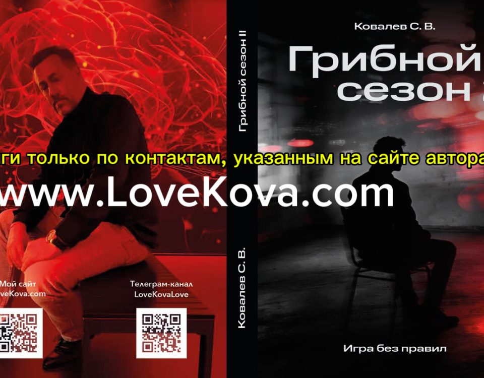 Книга грибной сезон 2