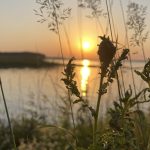 Фото с пожеланиями