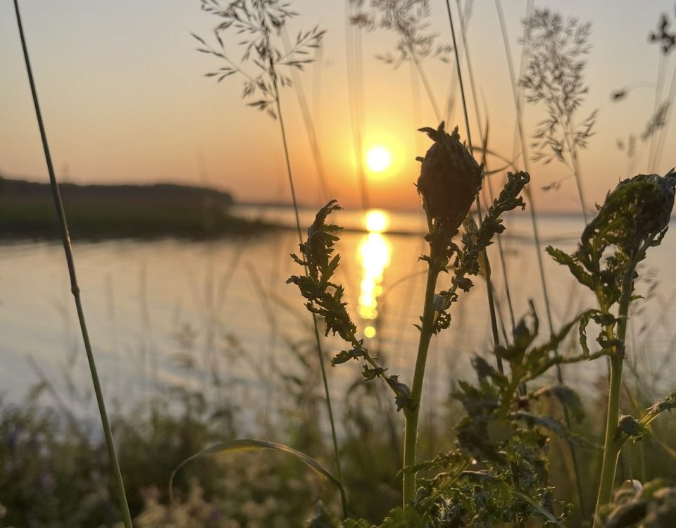 Фото с пожеланиями